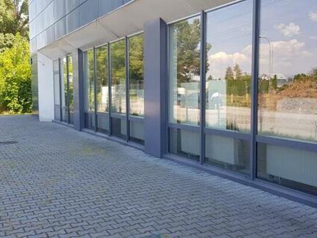 Lokal użytkowy handlowy Wilanów