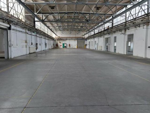Lokal użytkowy Katowice Koszutka