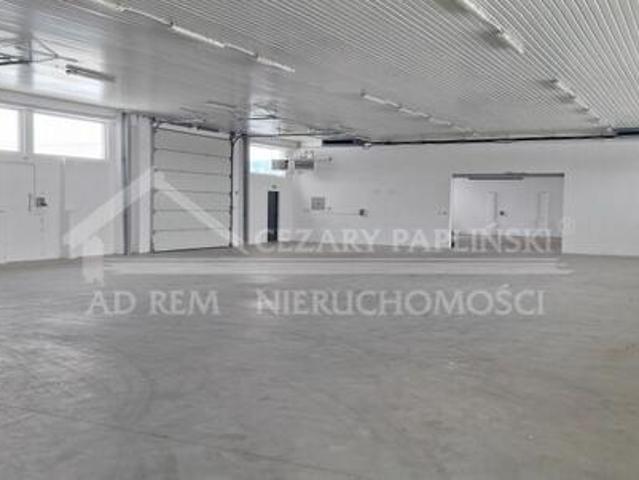 Lokal użytkowy Kurów, Kurów