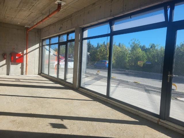 Lokal usługowy 430 m2 z witrynami i ogródkiem w Łodzi