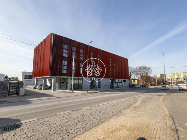Lokal usługowy 220 m² z dwoma wejściami i podziałem