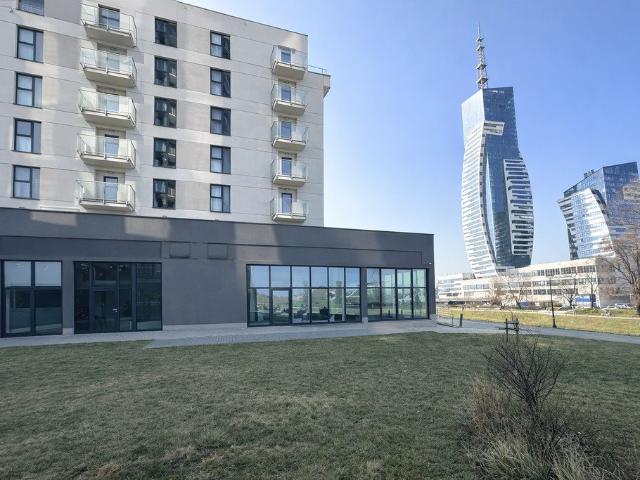 Lokal usługowy z tarasami nad Wisłokiem – 89 m2