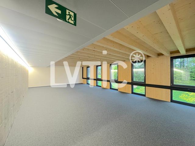 Lokal, Werkstatt, Büros von 245 m2 zu vermieten in Châtel St Denis