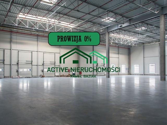 Lokal wynajmę, Balice, Zabierzów, 3295 m2, cena: 50 000 zł