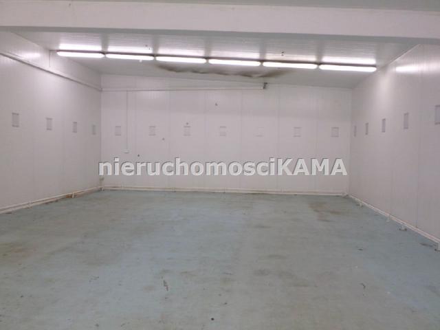 Lokal wynajmę, Bielsko Biała, Bielsko Biała, 250 m2, cena: 6 500 zł