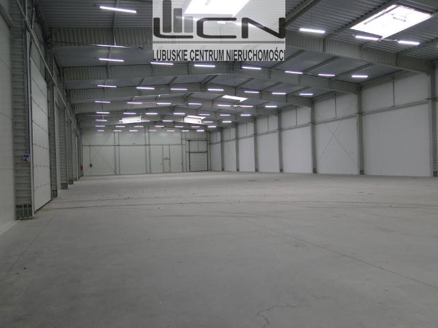 Lokal wynajmę, GORZÓW WIELKOPOLSKI,, 1520 m2, cena: 27 800 zł