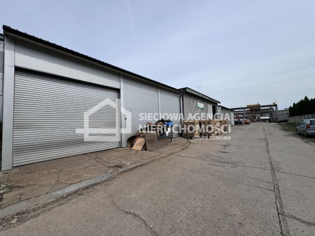 Lokal wynajmę, Gdynia, Chylonia, 300 m2, cena: 8 000 zł