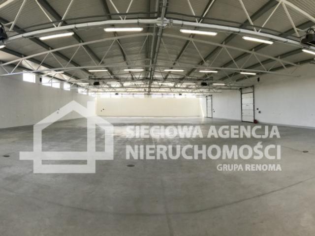 Lokal wynajmę, Gdańsk, Letnica, 520 m2, cena: 18 200 zł