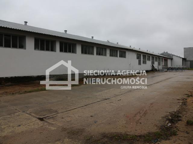 Lokal wynajmę, Łebieniec, 730 m2, cena: 10 950 zł