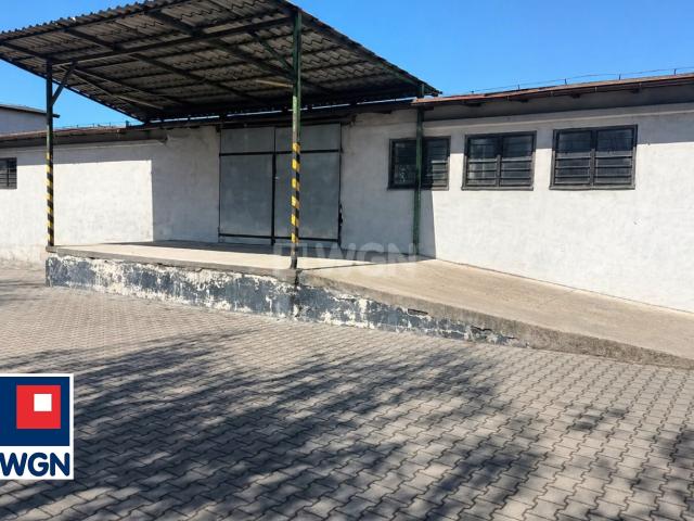 Lokal wynajmę, Koło, Toruńska, 850 m2, cena: 9 800 zł