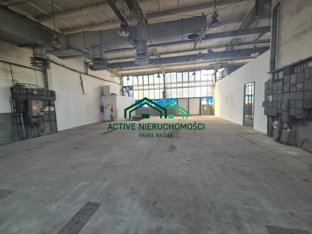 Lokal wynajmę, Kraków, Dębniki, 260 m2, cena: 6 000 zł
