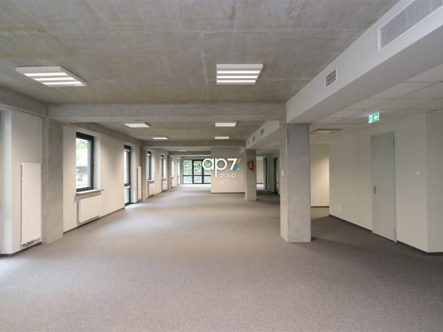 Lokal wynajmę, Kraków, Stare Miasto, 762 m2, cena: 57 207 zł