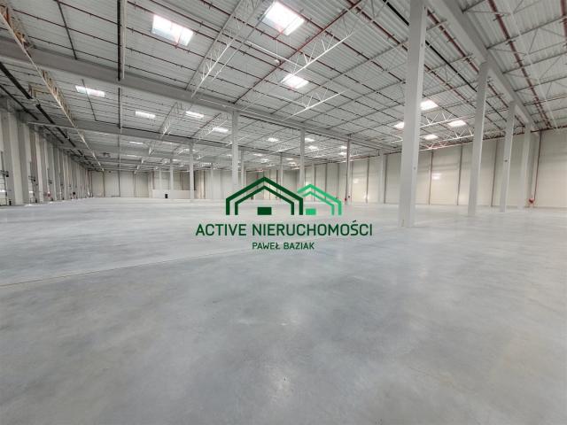 Lokal wynajmę, Słomniki, Słomniki, 4750 m2, cena: 82 000 zł