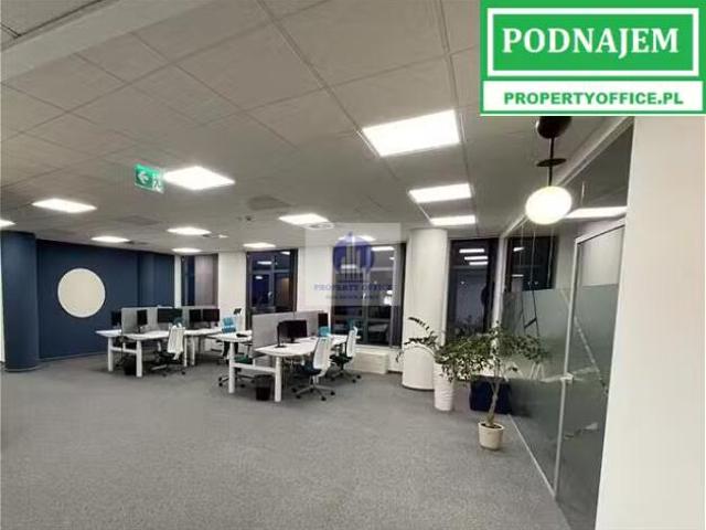 Lokal wynajmę, Warszawa, Ochota, Niemcewicza, 264 m2, cena: 4 352 zł