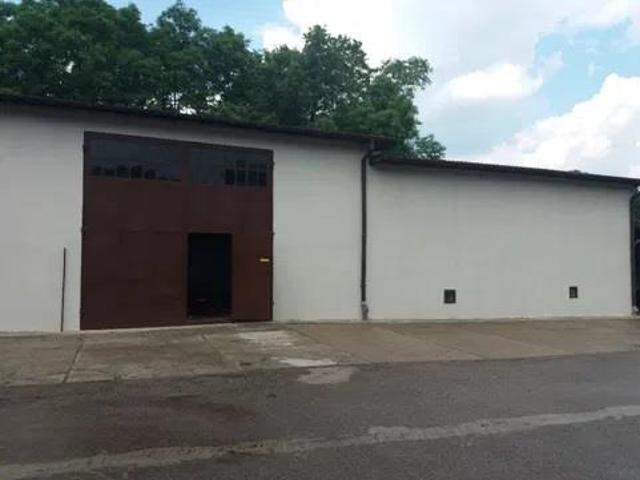 Lokal wynajmę, Warszawa, Wilanów, 150 m2, cena: 4 500 zł