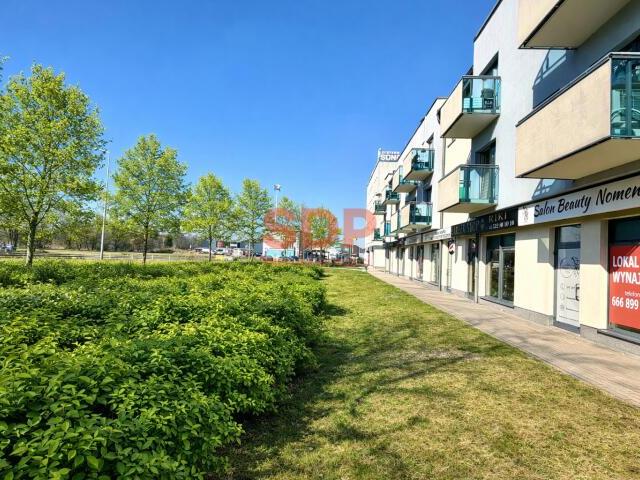 Lokal wynajmę, Wrocław, Królewiecka, 57 m2, cena: 6 100 zł