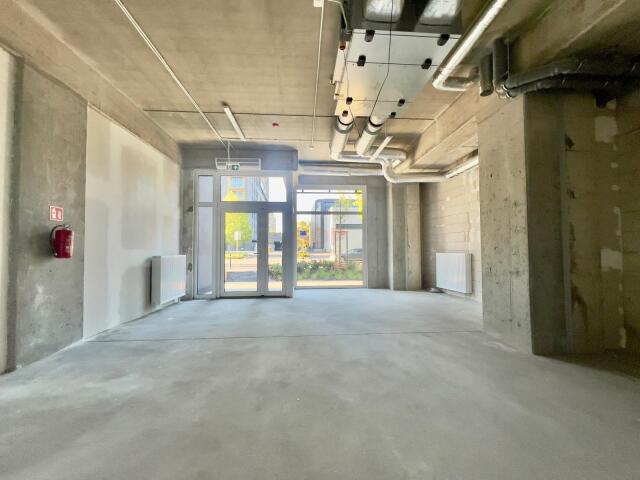 Lokal wynajmę, Wrocław, Stare Miasto, Braniborska, 85 m2, cena: 7 000 zł