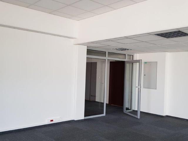 Lokal wynajmę, Wrocław, Stare Miasto, Tęczowa, 215 m2, cena: 10 643 zł