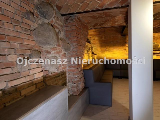 Lokal gastronomiczny 172 m2 w odrestaurowanej kamienicy