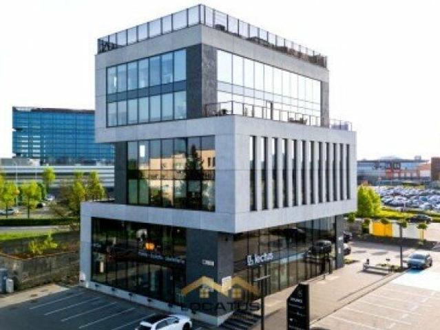 Lokal Katowice Dąb