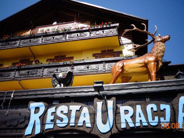 Lokal sprzedam, Wisła, Dziechcinka, UL.WYZWOLENIA 96, 4462 m2, cena: 8 998 000 zł