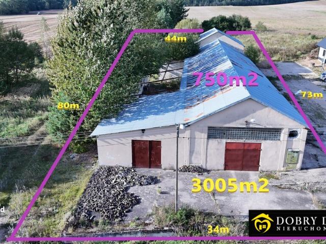 Lokal sprzedam, ZAMCZYSK,, 750 m2, cena: 500 000 zł