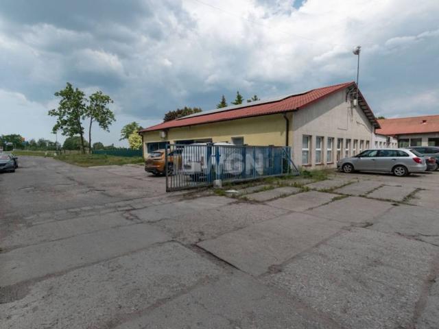 Lokal sprzedam, Elbląg, Warszawskie Przedmieście, Żuławska, 277 m2, cena: 720 000 zł