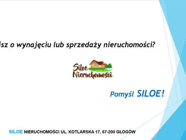 Lokal sprzedam, Głogów, Hugona Kołłątaja, 170 m2, cena: 345 589 zł