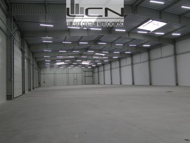 Lokal sprzedam, GORZÓW WIELKOPOLSKI,, 2900 m2, cena: 6 500 000 zł