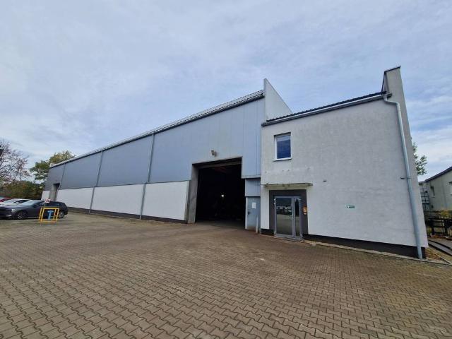 Lokal sprzedam, OSINY, Opolska, 13094 m2, cena: 7 340 498 zł