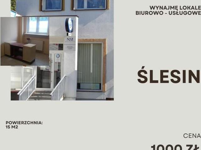 Lokale Użytkowe w Ślesinie