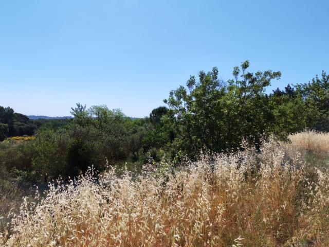 Lorgues Vente Terrain 83