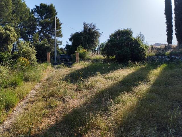 Lorgues Vente Terrain 83