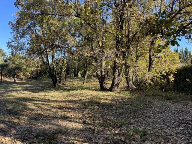 Lorgues Vente Terrain 83