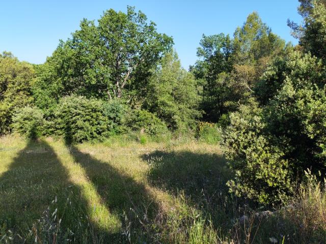 Lorgues Vente Terrain 83
