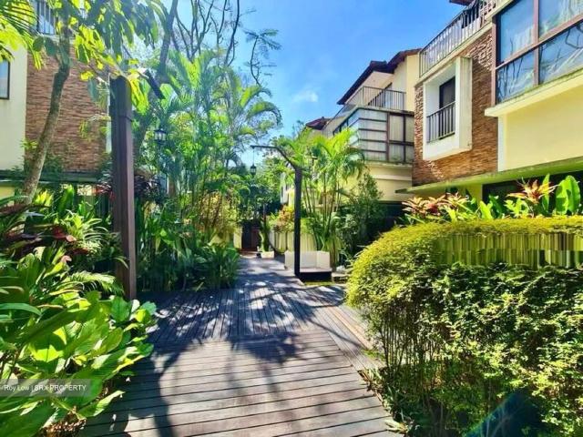 Lornie Road D11, Terrace