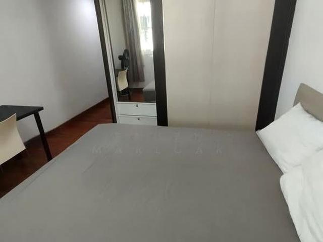 Lorong H Telok Kurau D15, Semi
