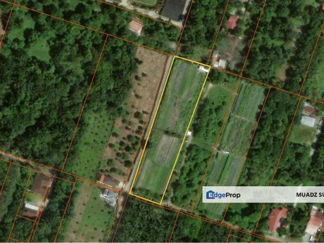 Lorong IKS Simpang Ampat B