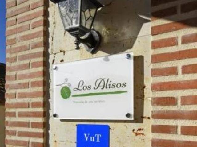 Los Alisos Coca Segovia