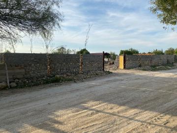 Los Girasoles, Nuevo León Nuevo León, Los Girasoles