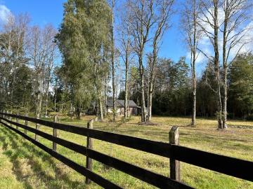 Los Lagos, Lipingue