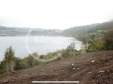 Los Lagos, Riñihue