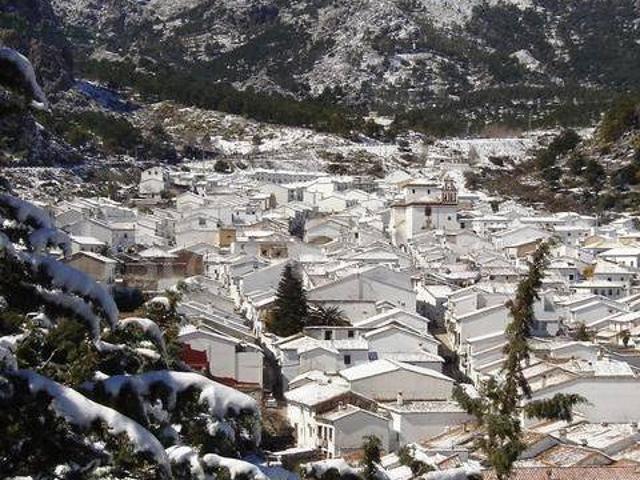 Los Siete Pinos
