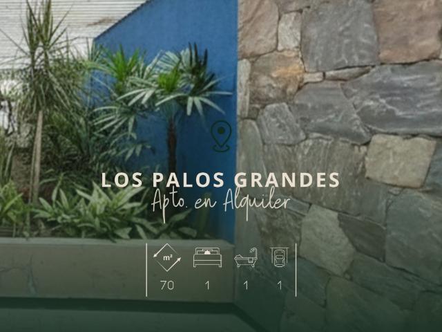 LOS PALOS GRANDES. ALQUILER APARTAMENTO 1H/1B/1E