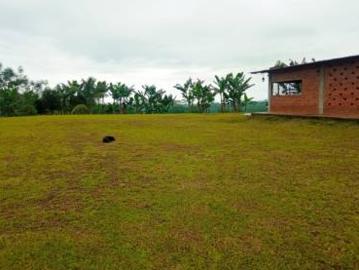 Los Rios Valencia Hacienda en Produccion en Venta