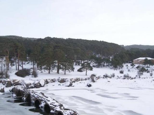 Los Trashumantes Molinos De Duero Soria