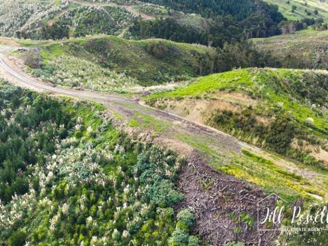 Lot/13 Kamea Place, Maungaturoto, Kaipara