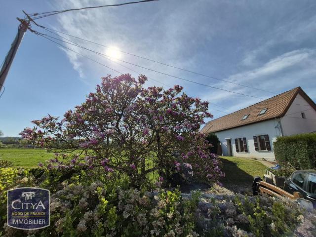 Lottinghen Location Maison 62