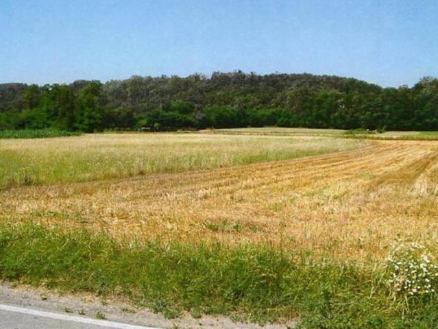 Lotto di terreni in parte edificabile con infrastrutture agricole