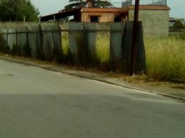 LOTTO DITERRENO SUSTRADA S.ANTIMO NA RIF:385